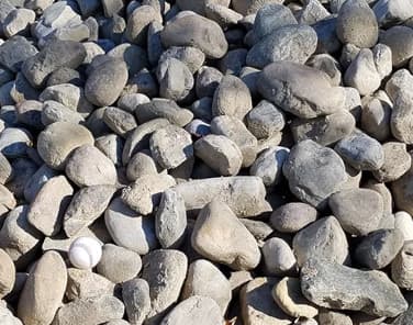 3-5" PENNSYLVANIA BULK