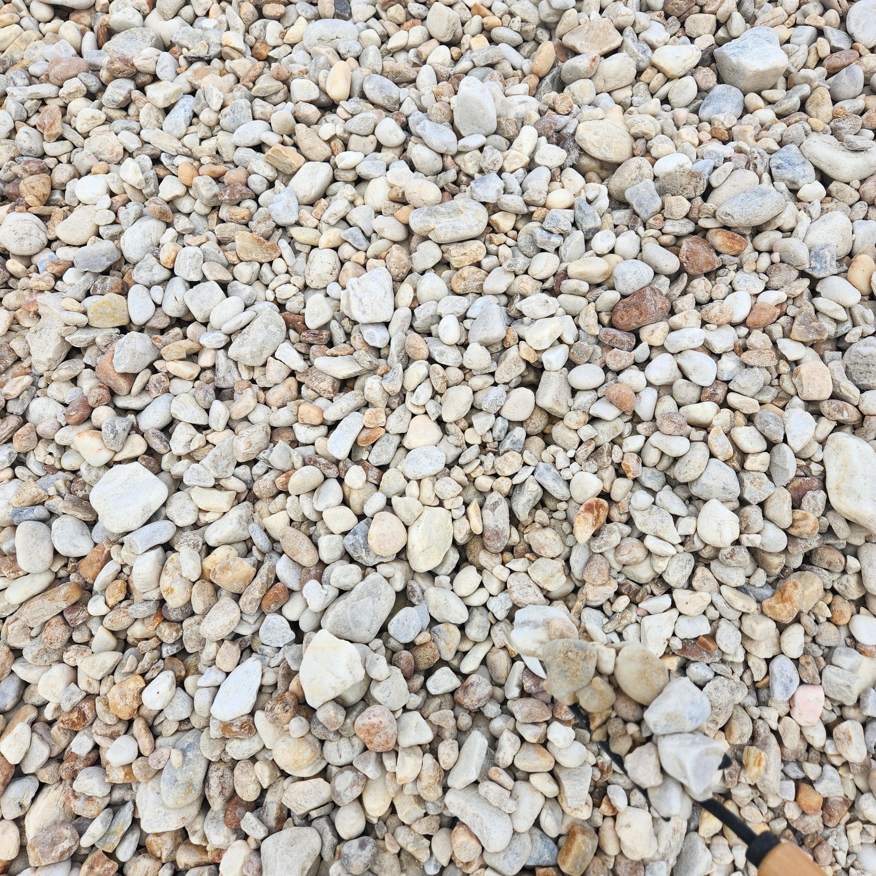 4-10" TENNESSEE BULK